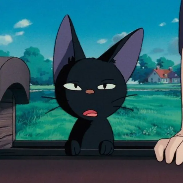 Фотография, на которой изображён Модьяров Дамир